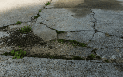 Cracks, Holes, and More: Common Issues That Signal the Need for Driveway Repair
