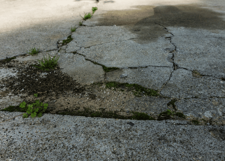 Cracks Holes and More Common Issues That Signal the Need for Driveway Repair Orlando Driveway Repair